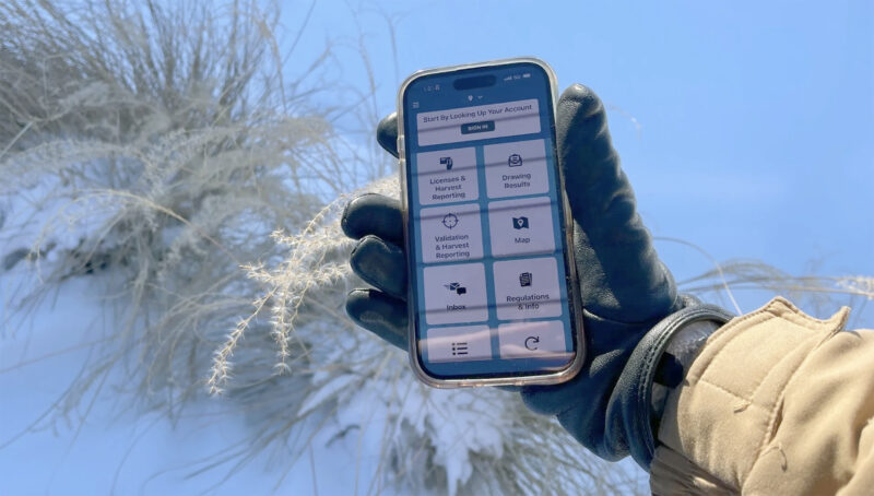 Electronic tags for Michigan hunters to start March 1